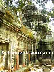 Ta Prohm Temple Courtyard