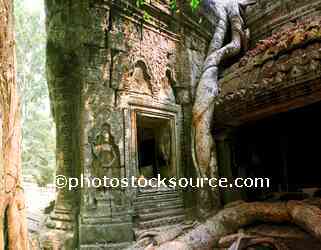 Temple Window and Fig Tree