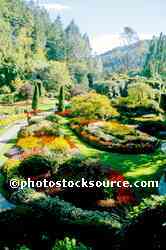 Sunken Garden