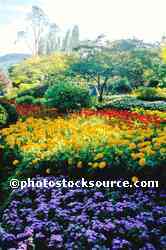 Sunken Garden