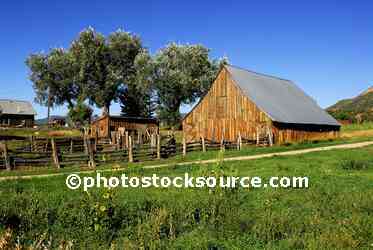 Barn and Trees