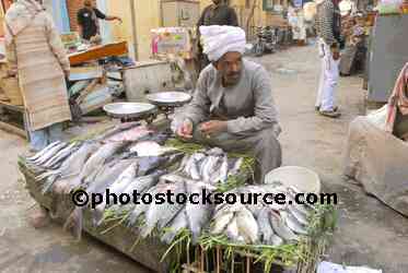 Fish Seller