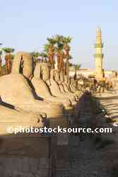 Avenue of the Sphinxes