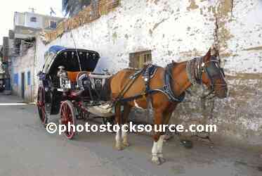 Horse Drawn Carriage