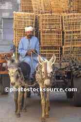 Man with Donkey Cart