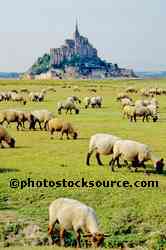 Mont Saint Michel