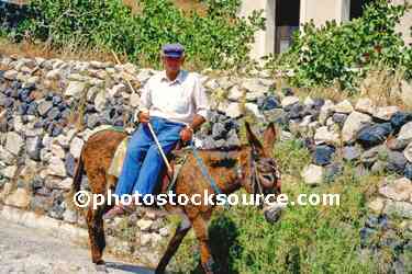 Man on his Donkey