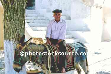 Man and Donkey