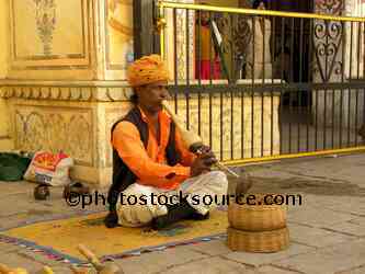 Snake Charmer