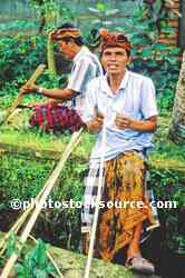 Bamboo Carvers