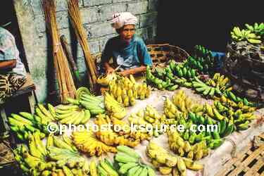 Banana Lady