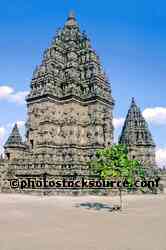 Temple and Tree