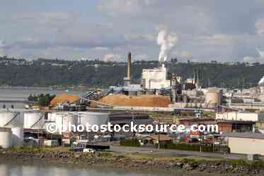 Pulp Plant