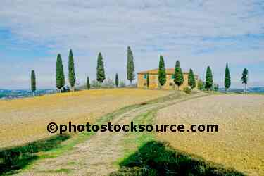 Tuscan Villa