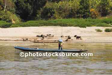 Man Net fishing
