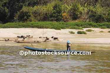 Man Net fishing
