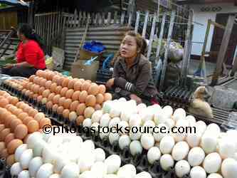 Woman Selling Eggs