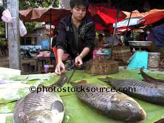 Woman Selling Fish