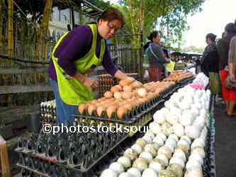 Woman Selling Eggs