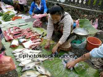 Woman Selling Fish