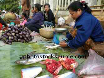 Woman Selling Fish