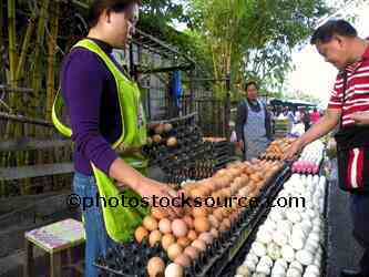 Woman Selling Eggs