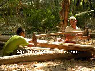 Men Sawing Log