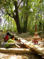 Men Sawing Log