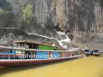 Mekong River Boats