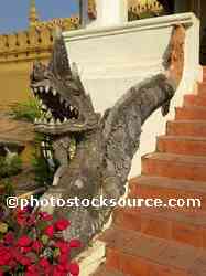 Naga Serpent on Steps