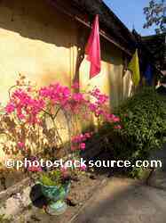 Wat Si Saket Bouganvillea