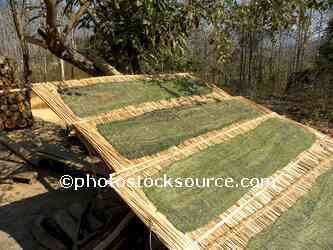 Drying Kaipen