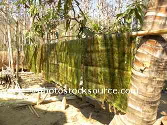 Drying Kaipen