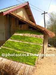 Drying Kaipen