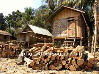 Stacks of Firewood