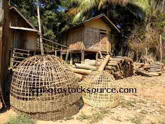 Chicken Pens