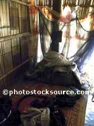 Hmong House Interior