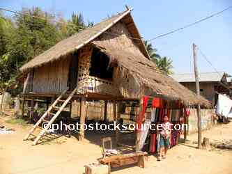 Raised Bamboo House