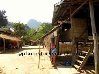 Raised Bamboo House