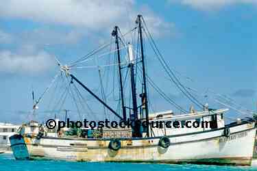 Fishing Boat