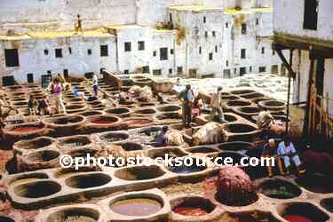 The Tannery