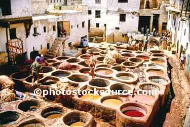 The Tannery