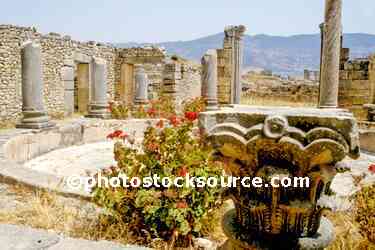 Columns