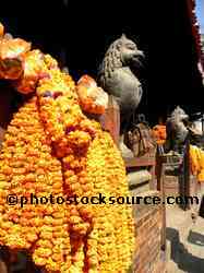 Ceremonial Flower Garlands