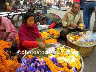 Flower Seller