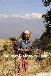 Woman Working