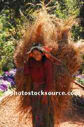 Woman Carrying Grass