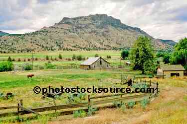 Horse and Barn
