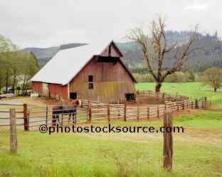 Horse and Barn