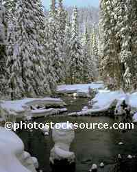 Salt Creek Snow